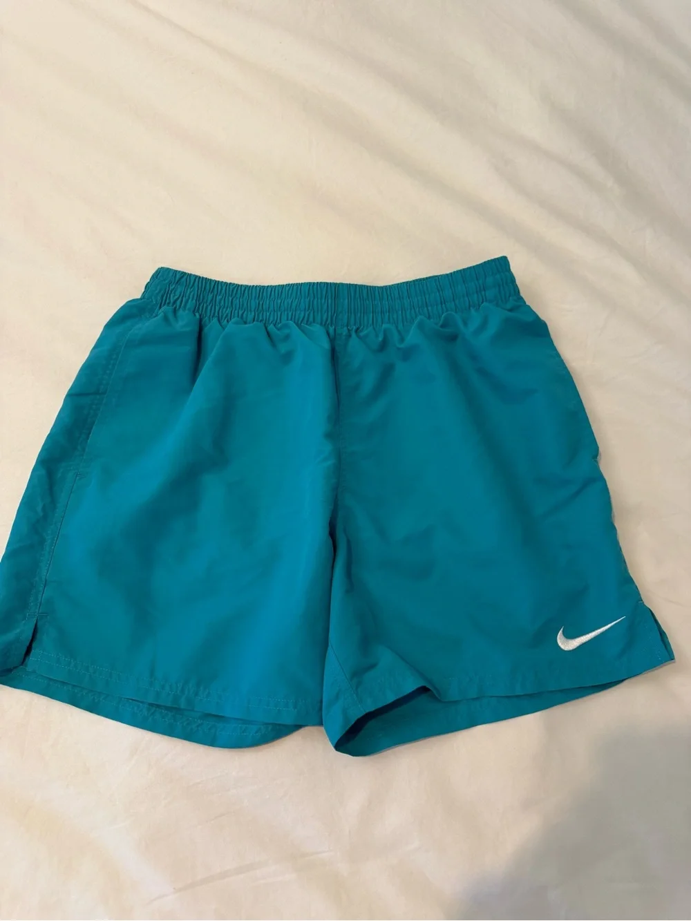 Nike Men's Teal Blue Swimsuit